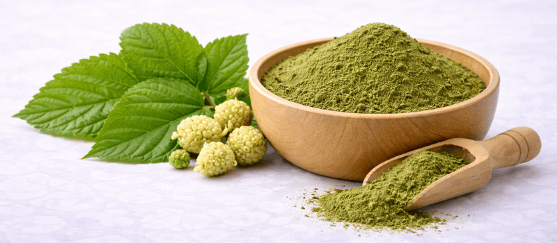 InsuLeaf Ingredients